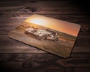 Printed Mouse Pad (MP-006) 